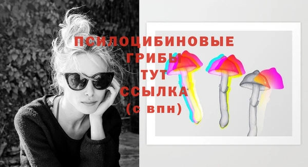 стафф Аркадак