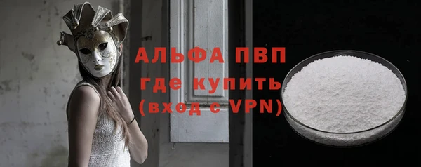 стафф Аркадак