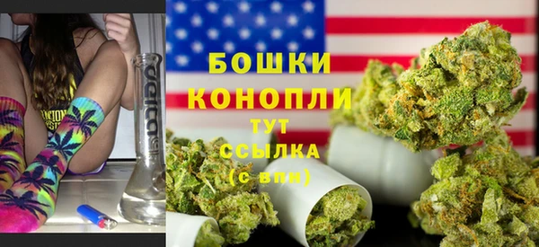 стафф Аркадак