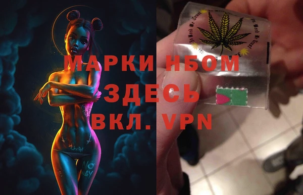 стафф Аркадак