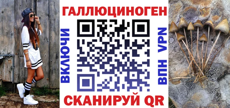 Псилоцибиновые грибы MAGIC MUSHROOMS  как найти   kraken ONION  Большой Камень 